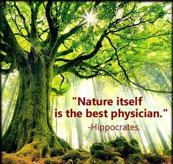 Nature Health and Healing