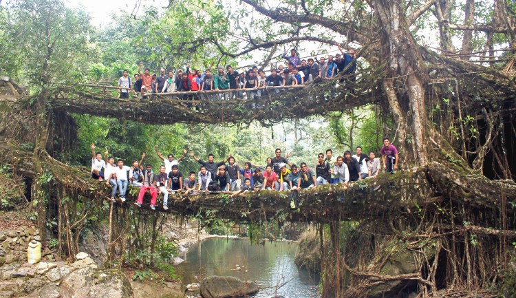 Double-decker Root Bridge