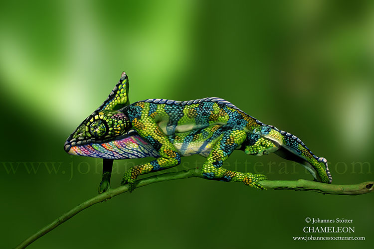 Click on the picture of THE CHAMELEON for the big reveal